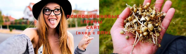 mix Новокубанск