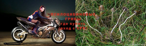 мескалин Новодвинск