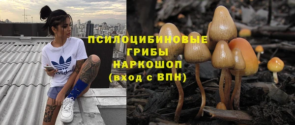 mix Новокубанск